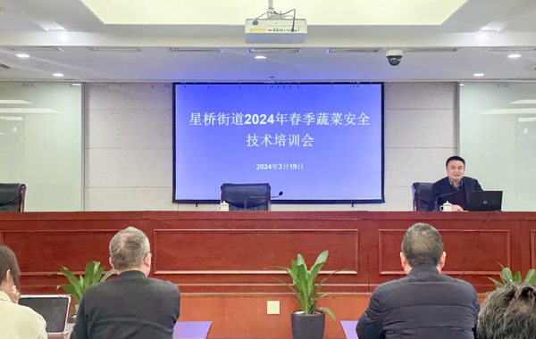 星桥街道开展2024年春季蔬菜安全技术培训会