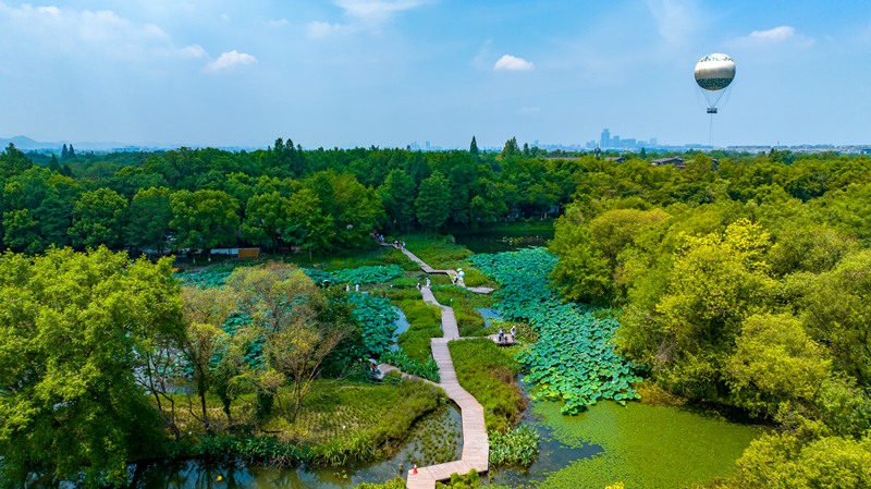 杭州西溪國家濕地公園。馬禎俊攝