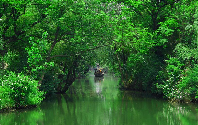 游客乘坐摇橹船欣赏西溪湿地美景。西溪湿地供图