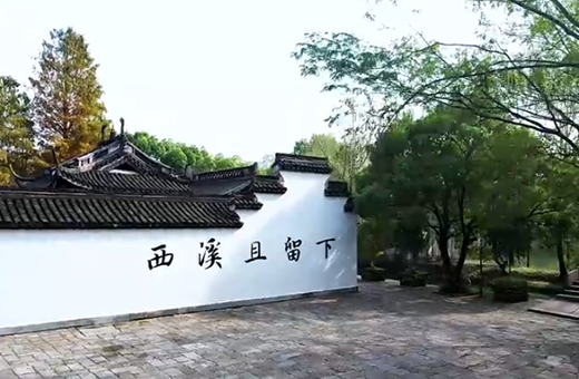 西溪记忆：柿红芦白蒹葭里