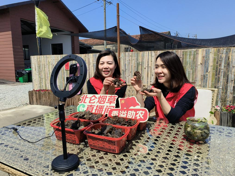 “香溢”志願者在田間現場直播銷售木耳。顧曉珂攝