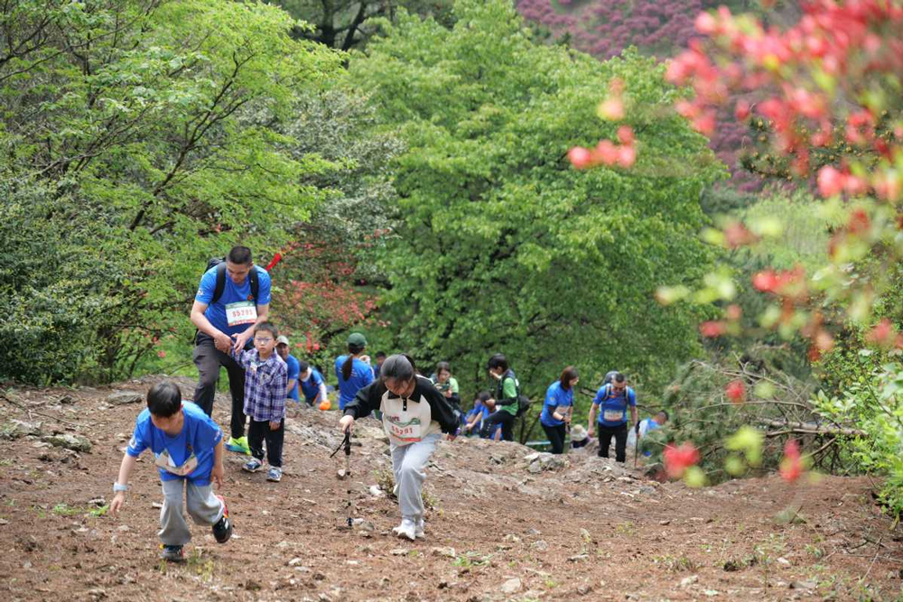 選手們在比賽中。四明山鎮供圖