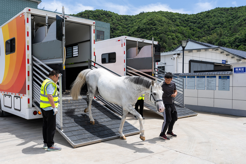 50匹寶馬運抵位於新合鄉的桐廬縣進境馬匹隔離檢疫場。桐廬縣委宣傳部供圖