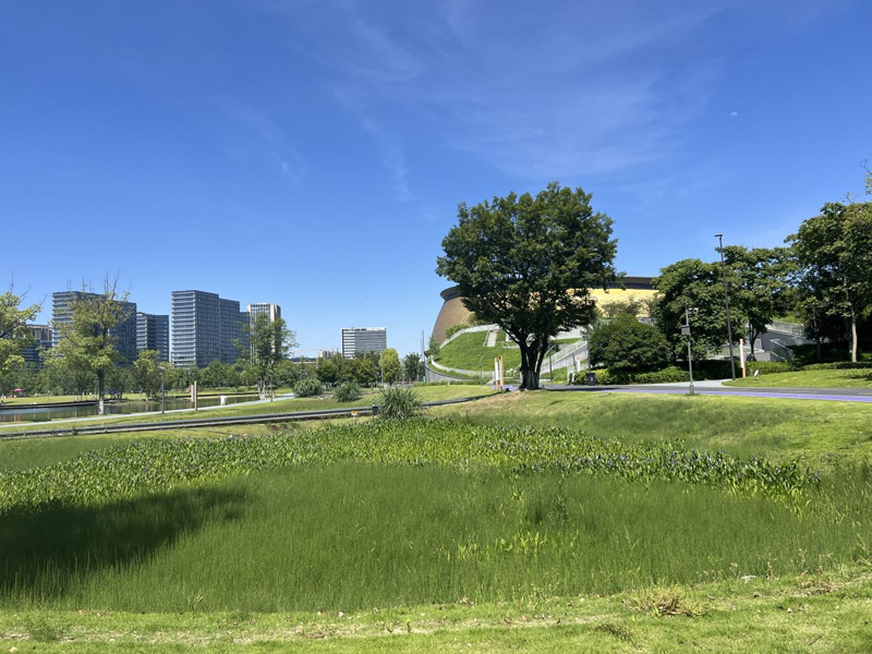 杭州运河亚运公园。禹阳摄