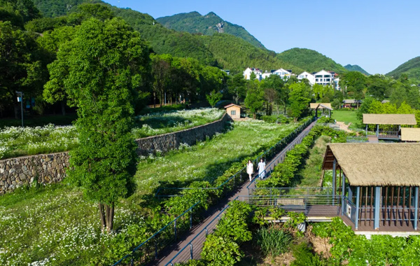 入夏首日，婺城這個地方有點浪漫！