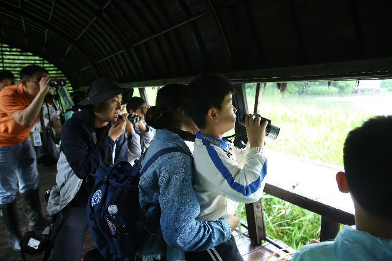 觀鳥活動現場。西溪濕地供圖