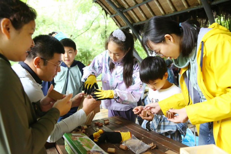 為昆虫搭建棲息“房間”。西溪濕地供圖