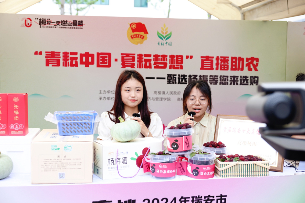 温州瑞安高楼镇第20届杨梅文化旅游季在大京村红梅广场正式开幕。瑞安市委宣传部供图
