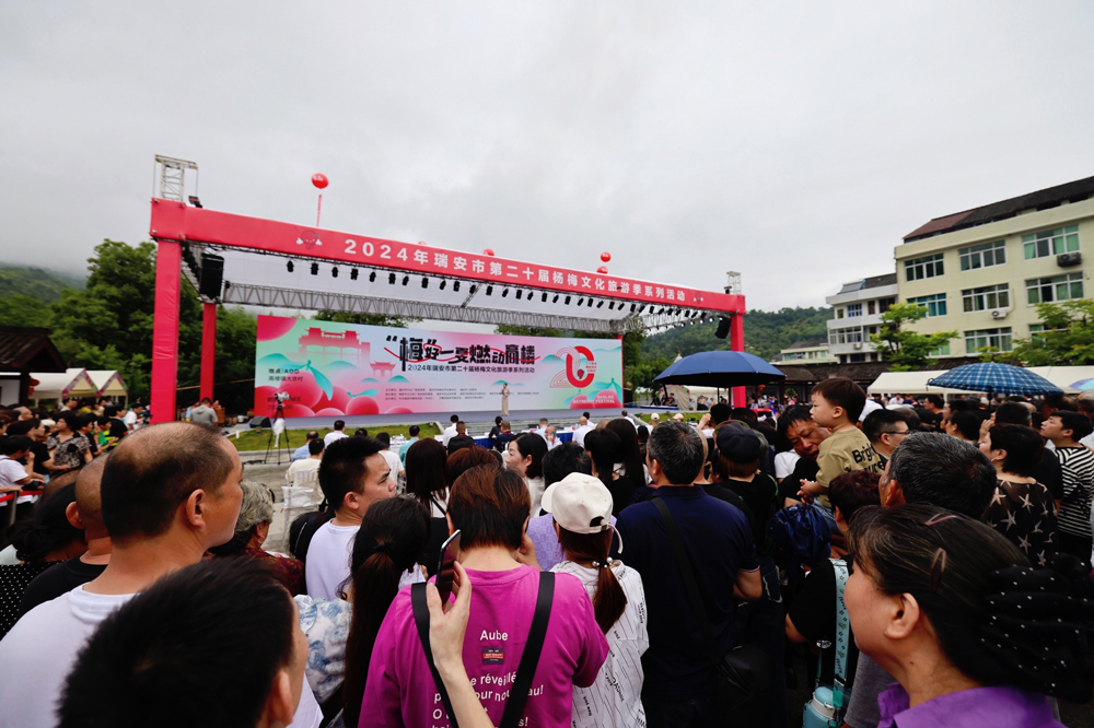 温州瑞安高楼镇第20届杨梅文化旅游季在大京村红梅广场正式开幕。瑞安市委宣传部供图