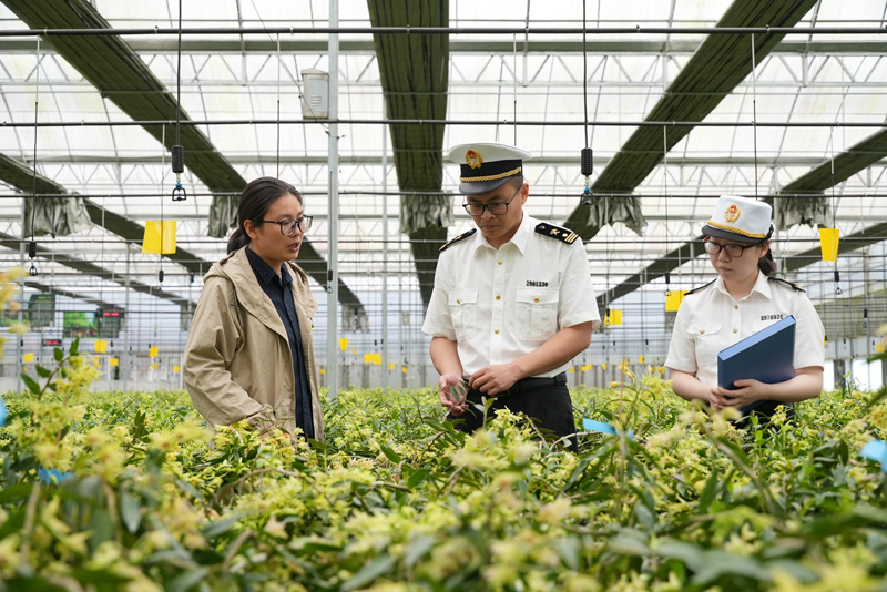 走訪調研中藥材種植基地。武義縣委宣傳部供圖