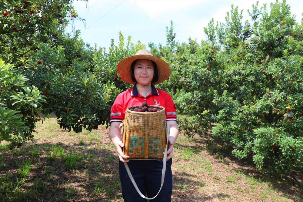 中國石化浙江石油青年團員志願者在展示採摘成果。中國石化浙江石油供圖