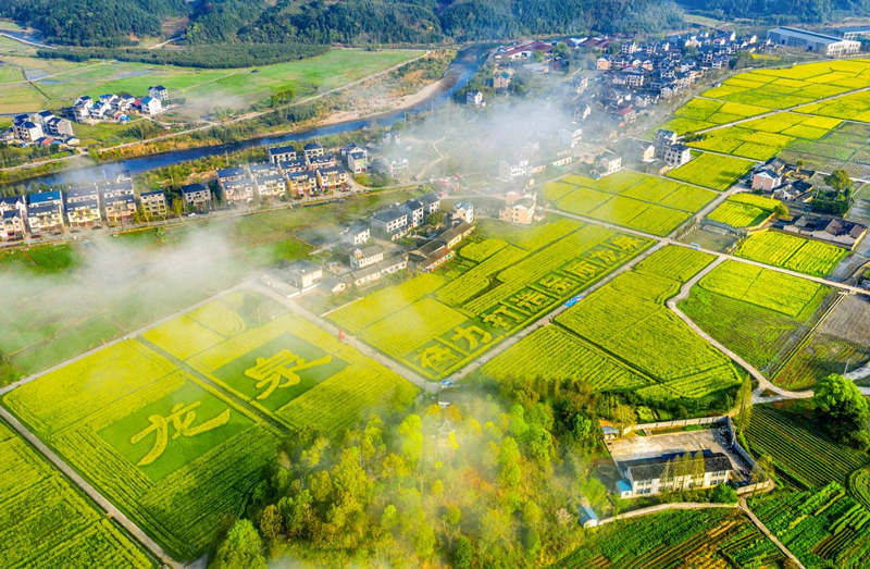 美麗鄉村畫卷徐徐鋪開。龍泉市委宣傳部供圖