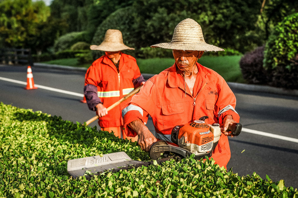 余杭交通的绿化养护工人坚守在绿化管理养护第一线。余杭区交通运输局供图