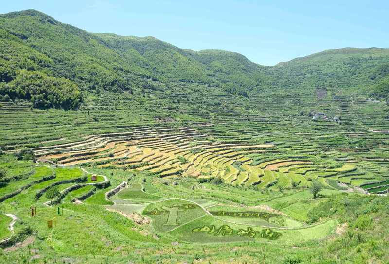 绍兴上虞岭南乡持续持续打造“万年石浪、千年梯田、百年古村”三张金名片，吸引八方来客。程欣摄