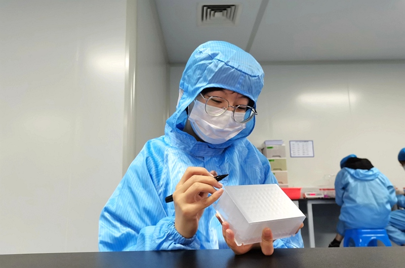 浙江藥科職業大學制藥工程學院學生在浙江東方基因生物制品有限公司實習。 徐瑞攝