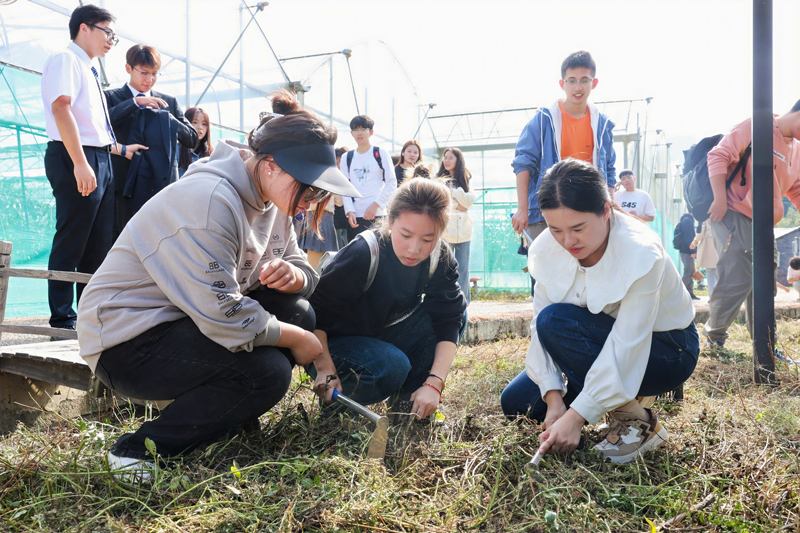 首屆中國·千島湖農創客創新創業大賽舉行