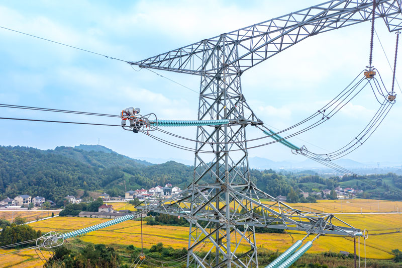 作業現場。國網湖州供電公司供圖