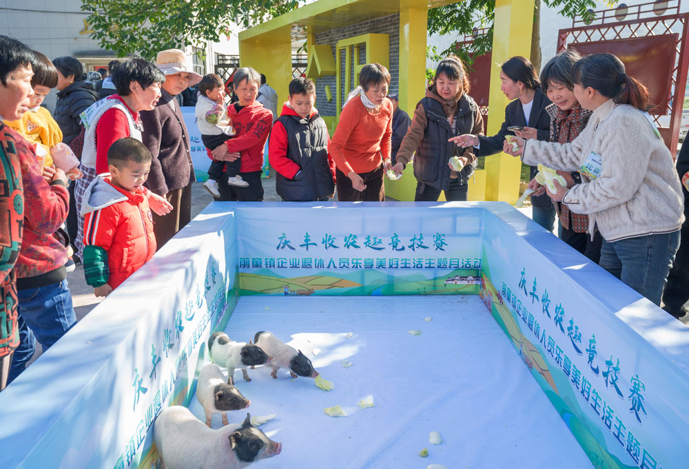 12月1日，一场以“农趣”“运动”为主题的趣味赛活动在宁波宁海前童镇举行。缪军摄