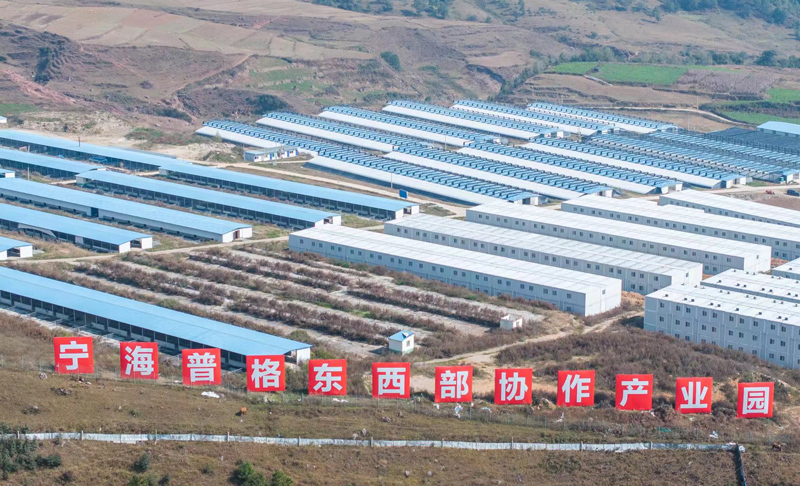 高密度淡水鱸魚養殖基地。寧海縣委宣傳部供圖