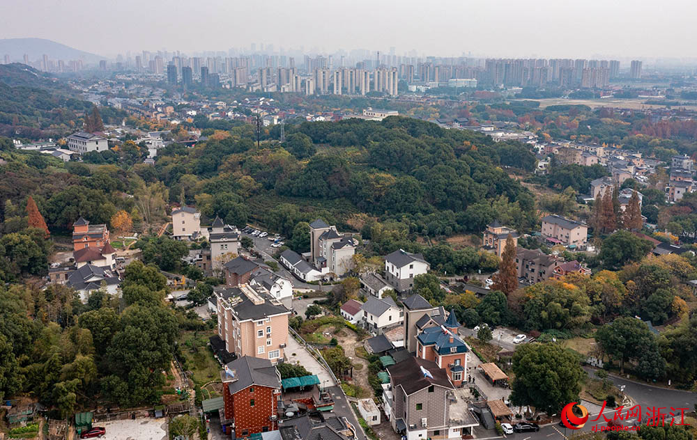 杭州市上城區丁蘭街道皋城村，交通便捷，生態優美，構成一幅美麗的城鄉新畫卷。人民網 章勇濤攝