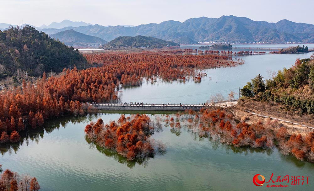 近日，在浙江省台州市黄岩区长潭湖边，2000多亩水杉被浓霜染红一片。人民网 章勇涛摄