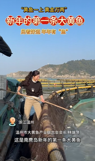 浙江温州南麂岛的新年第一条黄鱼