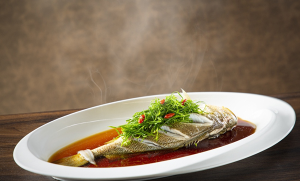 每日一图|温州大黄鱼即将来杭“夜游”