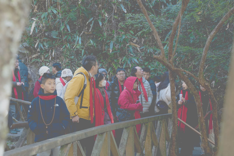 游客在遂昌千佛山景區祈福納祥。遂昌縣委宣傳部供圖