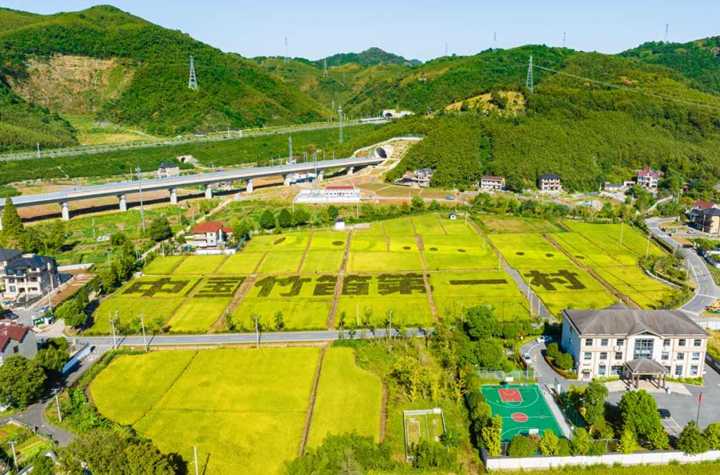 省级未来乡村，余杭新增6个！