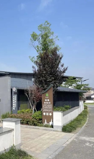 余杭这8个村“抱团”，村民一路增收！