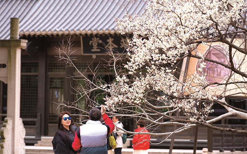 子城春韵