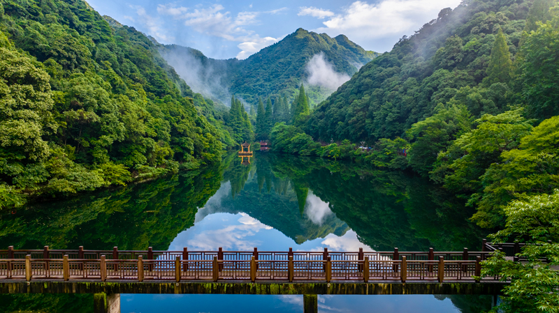 寧海森林溫泉旅游度假區風貌。寧海縣委宣傳部供圖