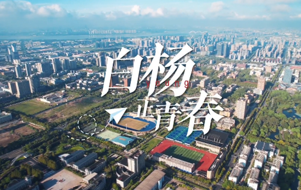 白杨正青春