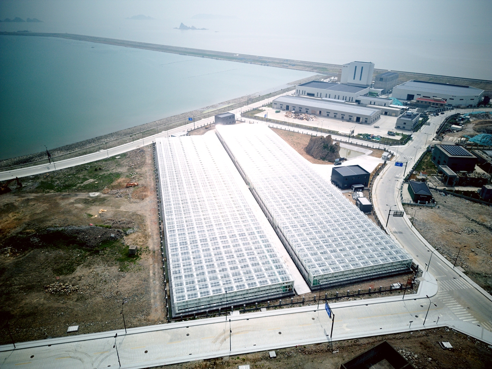 空中俯瞰嵊泗海岛“蔬菜工厂”。洪佳琪摄