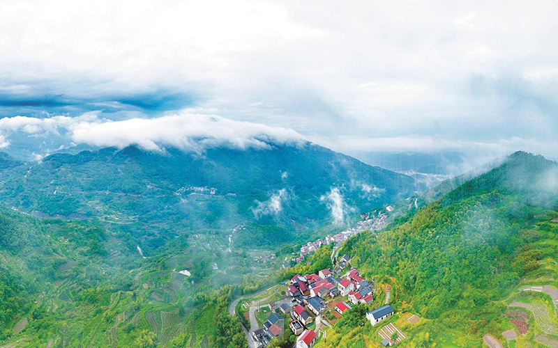 高山云海