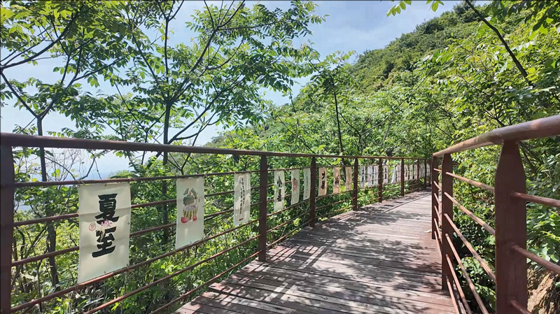 山頂“雲端養生”布置有節氣養生登山謠。主辦方供圖