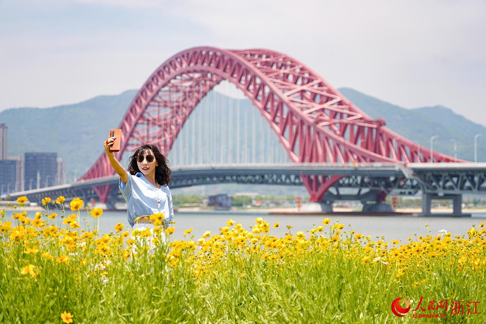 宁波市北仑区梅山湾梅山红桥下，一片花海景色吸引了众多游客前来观赏。人民网 章勇涛摄