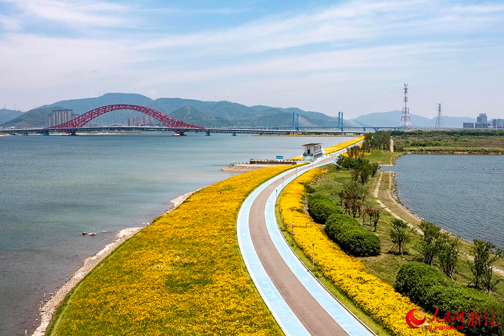 宁波市北仑区梅山湾梅山红桥附近的花海景观。人民网 章勇涛摄