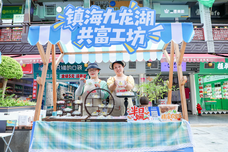 推介會現場。九龍湖鎮供圖