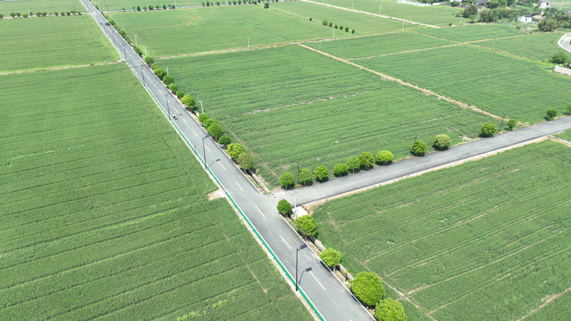 余永線至沈家道路。余杭交通供圖