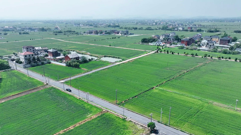 余下線至斗姚道路。余杭交通供圖