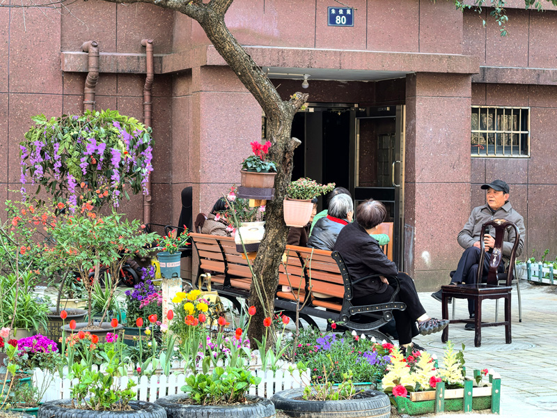 小花園扮靚社區環境。甬江街道供圖