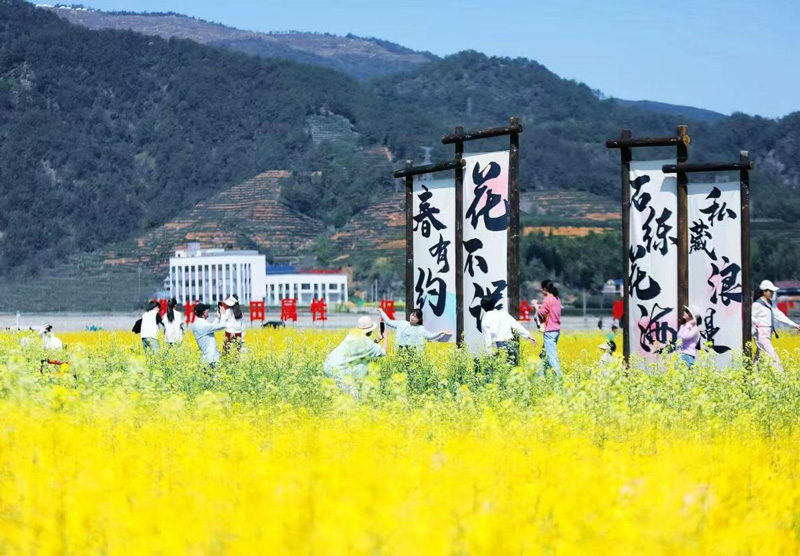油菜花海催生“美丽经济”。遂昌县农业农村局供图