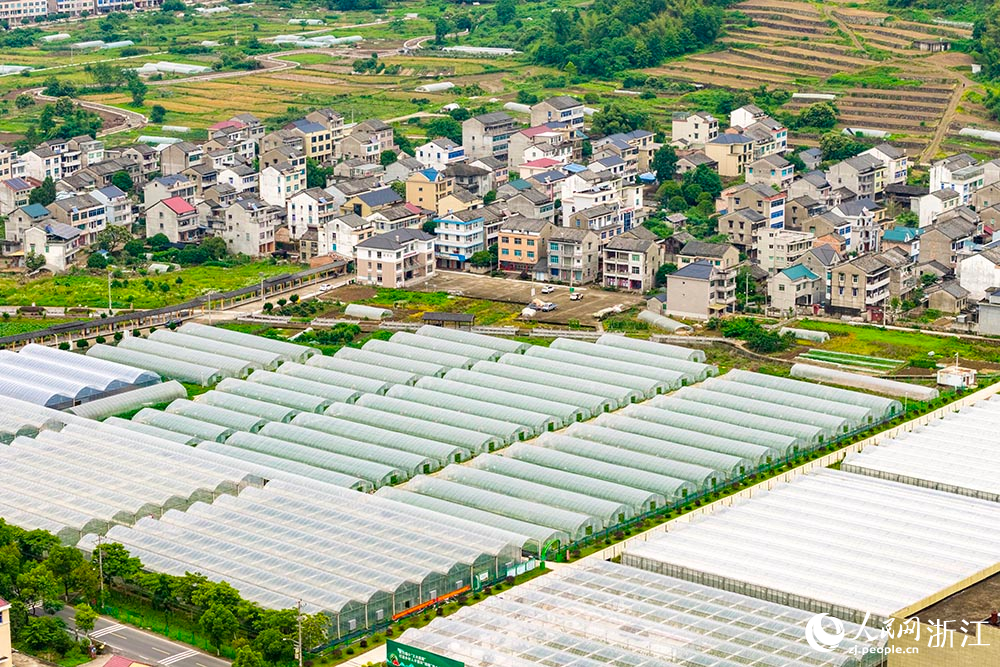 浙江省台州市黃岩區西甜瓜科創園綠意盎然，連片大棚內孕育著現代農業的“甜蜜希望”。人民網 章勇濤攝