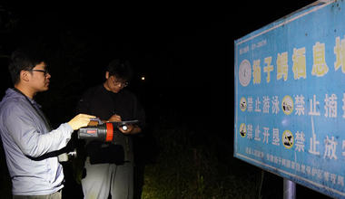 夜訪揚子鱷