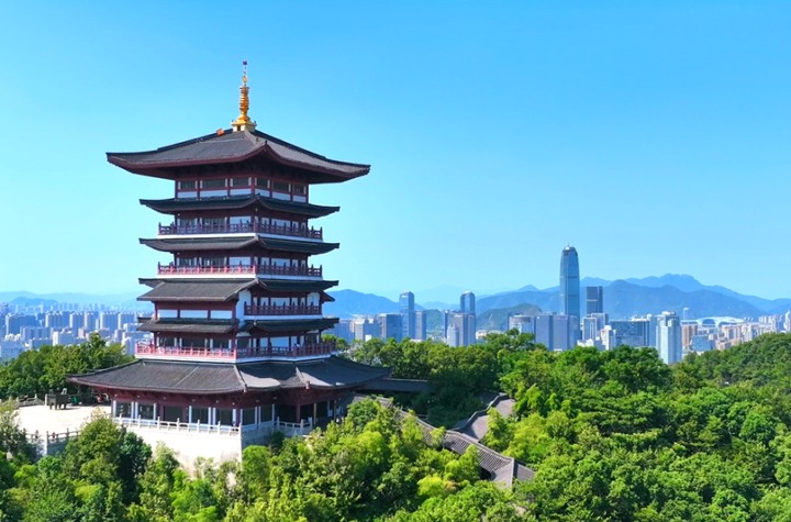 “1+1+9”，台州“智造”新速度