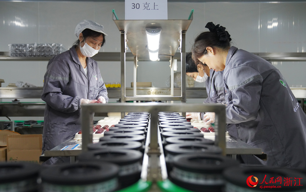 楊梅智慧分選車間內，工人正專注地對楊梅進行精挑細選。人民網 劉欣蔚攝