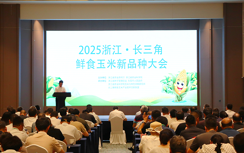 2025浙江·长三角鲜食玉米新品种大会现场。浙江省农业农村厅供图