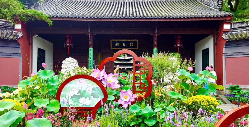 第二届西湖莲荷展现场。杭州市西湖水域管理处供图