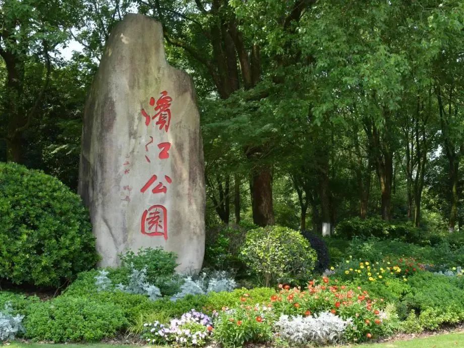 家长码住！缙云“六一”溜娃最强指南来啦